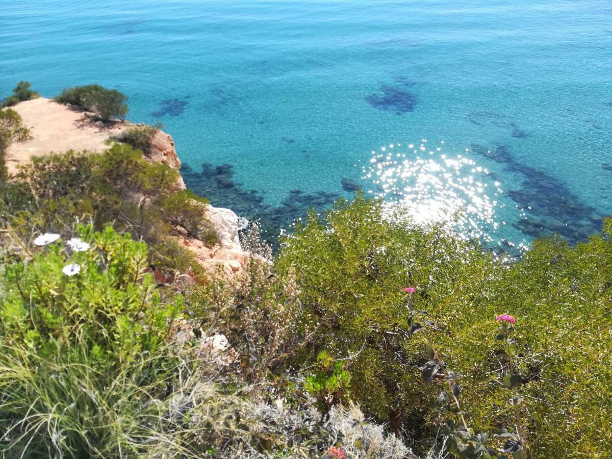 Cabo Roig Bellavista III Apartment Ngoại thất bức ảnh