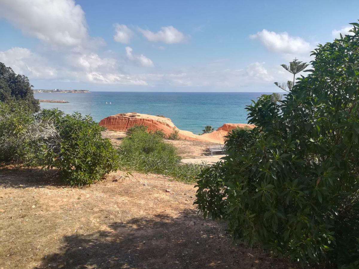 Cabo Roig Bellavista III Apartment Ngoại thất bức ảnh